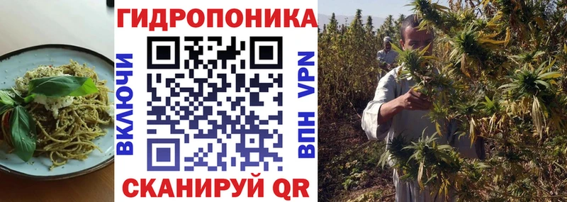 цена   Баймак  Cannafood конопля 