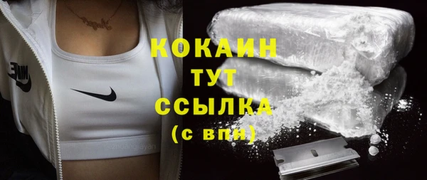 PSILOCYBIN Покачи